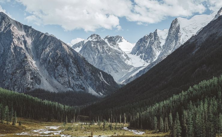 出国移民中介公司